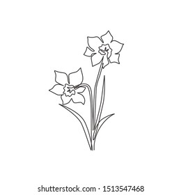 Featured image of post Daffodil One Line Drawing Yet there are many different kinds out there with each artist having their own specific charisteristics