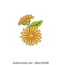 One single line drawing of beauty fresh marigold for home wall decor poster art. Printable decorative calendula flower concept for park icon. Modern continuous line draw design vector illustration