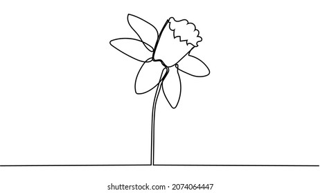 Un dibujo de una sola línea de belleza fresco narciso para el jardín. Imprimible concepto decorativo de flor de daffodil. Diseño de traza de línea continua