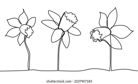 2,565 Daffodils Flower Line Drawings Images, Stock Photos & Vectors ...