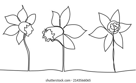 One single line drawing of beauty fresh narcissus for garden. Printable decorative daffodil flower concept. Trendy continuous line draw design