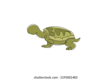 209 Giant tortoise galapagos Stock Illustrations, Images & Vectors ...