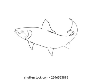 One single line drawing big salmon for logo Vector Image
One continuous line drawing of big salmon for... - Stock Illustration  vector art