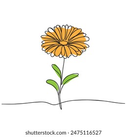 One single line drawing of calendula. Modern continuous line draw design vector illustration