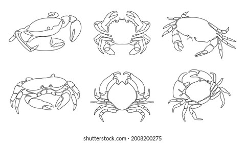 One single line drawing of crabs. Continuous line drawing silhouette of a crab set. Vector illustration isolated on the white background.