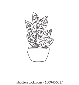 One single line drawing of cute potted tropical aglaonema plant. Printable decorative houseplant concept for home wall decor ornament. Modern continuous line graphic draw design vector illustration