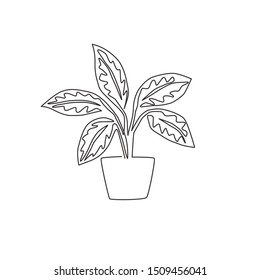 One single line drawing cute potted tropical leaf aglaonema plant. Printable decorative houseplant concept for home wall decor ornament. Modern continuous line draw design vector graphic illustration