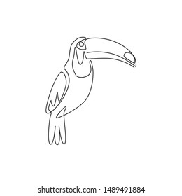 One single line drawing of exotic toucan bird with big beak for logo identity. Beautiful animal mascot concept for bird lover club icon. Modern continuous line draw design graphic vector illustration