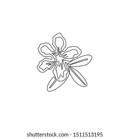 One single line drawing of fresh beauty adenium for garden logo. Printable poster decorative desert rose flowers concept home wall decor. Modern continuous line draw design vector graphic illustration