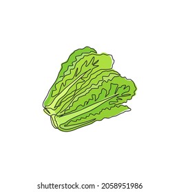 One single line drawing healthy organic green lettuce leaves for farm logo identity. Fresh salad ingredient concept for vegetable icon. Modern continuous line draw design graphic vector illustration