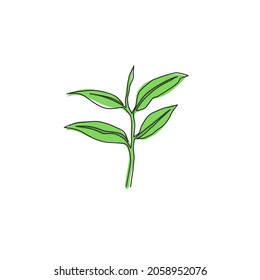 One single line drawing healthy organic tea leaves for plantation logo identity. Fresh tender bud of tea shoot concept for tea leaf icon. Modern continuous line draw design graphic vector illustration