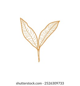 Una sola línea dibujando hojas de té orgánico saludable para la identidad del logotipo de la plantación. Tierno brote fresco del concepto de brote de té para el icono de la hoja de té. Ilustración vectorial gráfica de diseño de dibujo de línea continua moderna