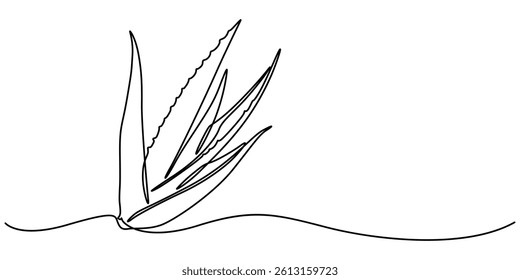 One single line drawing of healthy organic green aloe vera for farm logo identity, Aloe vera plant sketch, simple vector illustration, background, label design. One continuous line drawing art style.