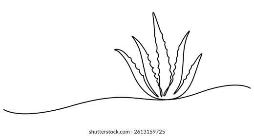 One single line drawing of healthy organic green aloe vera for farm logo identity, Aloe vera plant sketch, simple vector illustration, background, label design. One continuous line drawing art style.