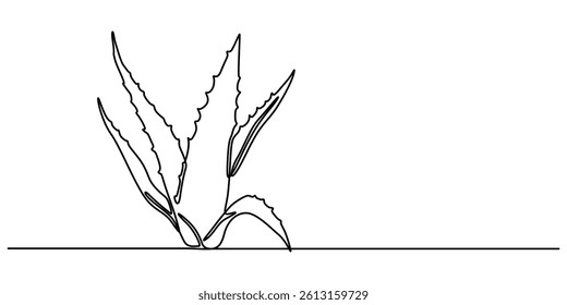 One single line drawing of healthy organic green aloe vera for farm logo identity, Aloe vera plant sketch, simple vector illustration, background, label design. One continuous line drawing art style.