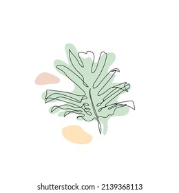 One single line drawing of monstera leaf and pastel neutral shapes. Abstract botanical line art.
