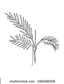 One single line drawing palm faux areca leaf vector illustration. Tropical leaves minimalistic style, floral pattern concept for poster, wall decor print. Modern continuous line graphic draw design