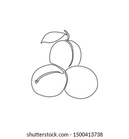 One single line drawing of whole healthy organic plum for orchard logo identity. Fresh fruitage concept for fruit garden icon. Modern continuous line draw design graphic vector illustration