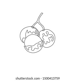 One single line drawing of whole and cut healthy organic longan for orchard logo identity. Fresh fruitage concept for fruit garden icon. Modern continuous line draw design vector graphic illustration