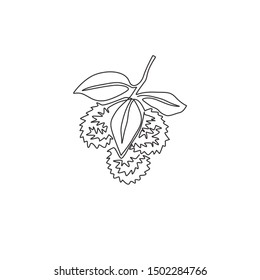 One single line drawing of whole heap healthy organic rambutans for orchard logo identity. Fresh tropical fruitage concept for fruit garden icon. Modern continuous line draw design vector illustration