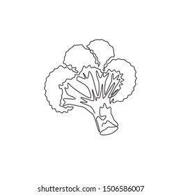 One single line drawing whole healthy organic green broccoli for farm logo identity. Fresh edible green plant concept for vegetable icon. Modern continuous line draw design vector graphic illustration