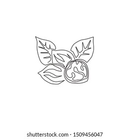 One single line drawing of whole healthy organic walnut food and leaves for orchard logo identity. Fresh nutshell concept for healthy seed icon. Modern continuous line draw design vector illustration