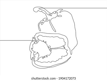 One single line drawing of whole healthy organic bell pepper for farm logo identity. Fresh paprika concept for vegetable icon. 