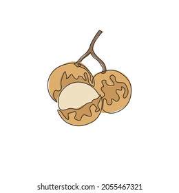 One single line drawing of whole and cut healthy organic longan for orchard logo identity. Fresh fruitage concept for fruit garden icon. Modern continuous line draw design vector graphic illustration