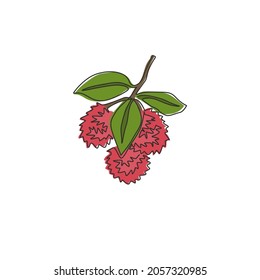 One single line drawing of whole heap healthy organic rambutans for orchard logo identity. Fresh tropical fruitage concept for fruit garden icon. Modern continuous line draw design vector illustration