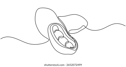 Um único desenho de linha de amendoim orgânico saudável inteiro para identidade do logotipo da fazenda, Amendoim Abstrato de Feijão de Noz, contínua única linha arte mão desenho esboço logotipo, desenho de linha contínua