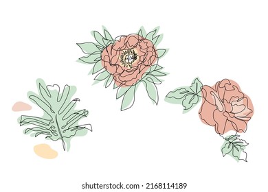 Eine einzelne Zeichnungen von Rose, Peronenblumen und Monstera-Blatt. Abstrakte botanische Linienkunst.