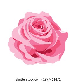 One Single Pink Rose Flower Head Icon Vector. Beautiful Pink Rose Flower Icon Isolated On A White Background. Single Blooming Pink Rose Flower Vector Illustration