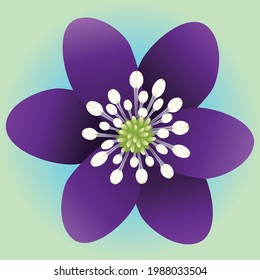 

One single purple flower with six petals and a green blue gradient background.