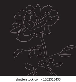 One single rose with sketch style line art design vector.