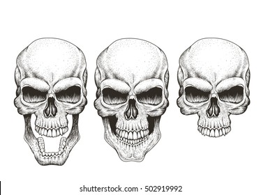 One skull in different guises  Hand drawn vector illustration for prints design