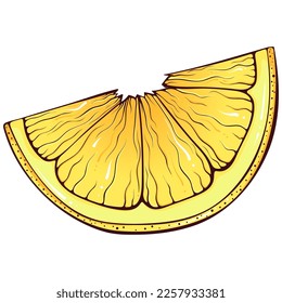 One slice of lemon. Vector color illustrations in hand drawn cartoon style. Fresh organic food isolated on white. Close up citrus fruit. Element for cookbook, sticker, design, print.