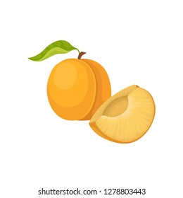 One slice and whole apricot with green leaf. Tasty summer fruit. Organic product. Healthy food. Flat vector icon