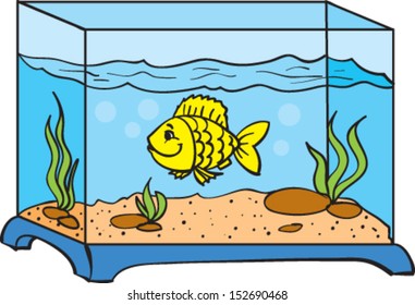 one small fish in an aquarium