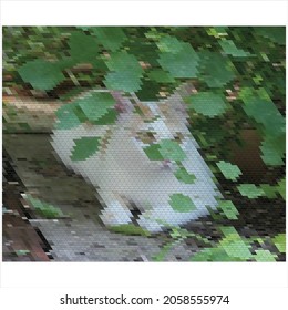 One small pet lying on dirty floor  in mosaic pattern.