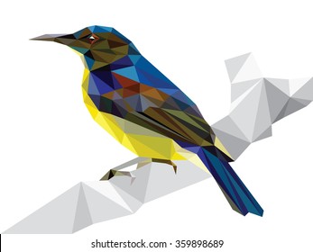 One small polygonal black blue bird with yellow belly holding on gray wood branch (Yellow-bellied sunbird) crystal style illustration vector.