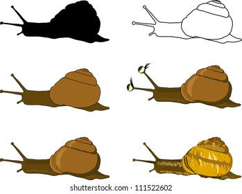 One snail with six different colouring include cartoon and realistic