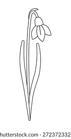 Una gota de nieve aislada sobre un fondo blanco. Icono lineal, Ilustración vectorial, página para colorear. Flor de primavera temprana, tiempo de Pascua. Ilustración de vacaciones de primavera del día de la madre. Galánthus nivális. 