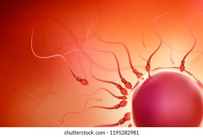 One sperm is human semen. In the white back