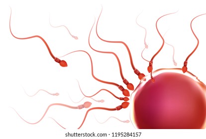 One sperm is human semen. In the white back