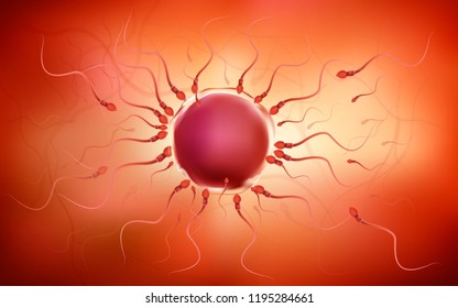One sperm is human semen. In the white back