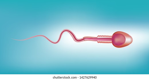 One sperm is human semen. In the white back