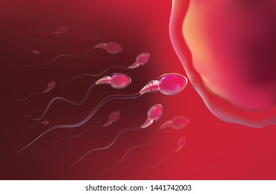 One sperm is human semen. In the white back