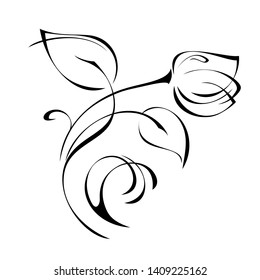 one sprig with a Bud on the stem with leaves and curls in black lines on a white background