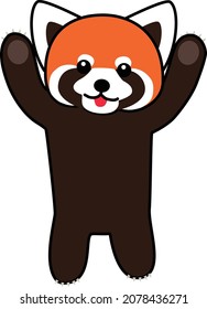 One standing cute red panda