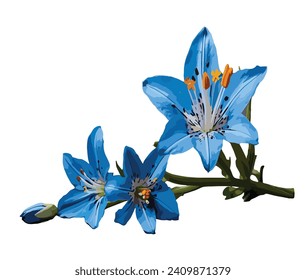 one stick of blue stargazer flower